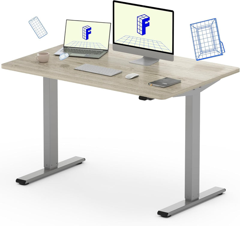 FLEXISPOT EC1 Essential Adjustable Desk, Electric Standing Desk Sit Stand Desk (48X24 Inch, Gray Frame+Marble Grey)