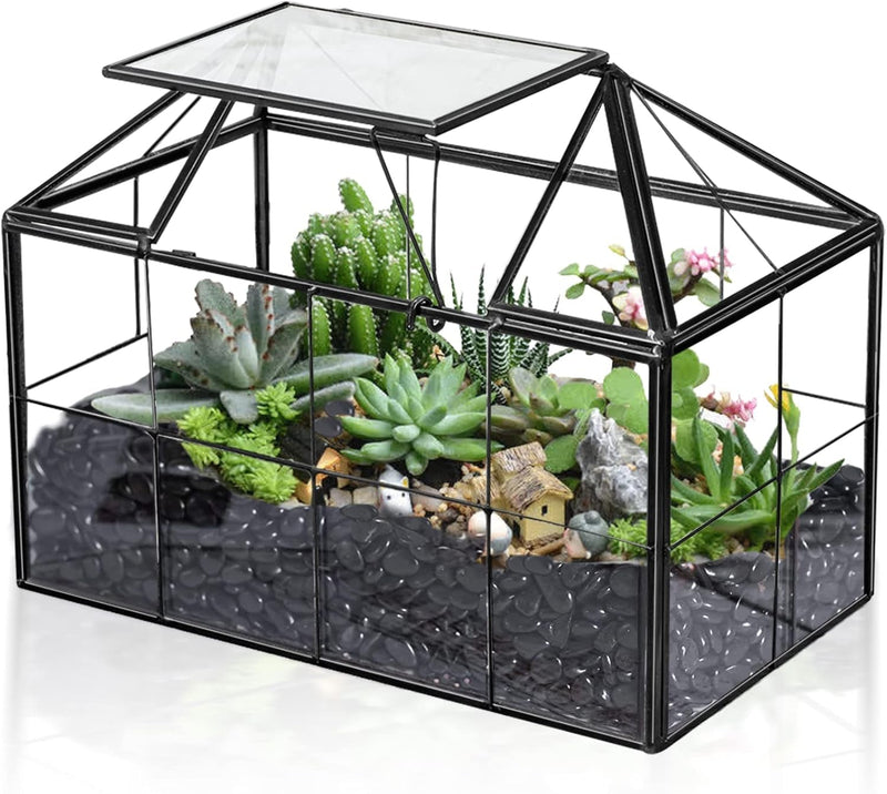 Ferrisland Glass Plant Terrarium Container Wardian Case Indoor Small Succulent Terrarium Planter W/Door for Tabletop Decor DIY - 5.0"X4.3"X4.3"