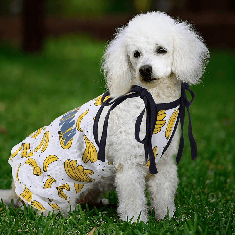 6 Pieces Pet Clothes Set Includes 3 Pieces Cute Pet Dress Lovely Summer Fruit Dog Dress and 3 Pieces Dog Shirts Breathable Pet T-Shirts Puppy Clothes Cat Apparels for Small Dogs Puppy Cats (M Size) Animals & Pet Supplies > Pet Supplies > Cat Supplies > Cat Apparel Weewooday   