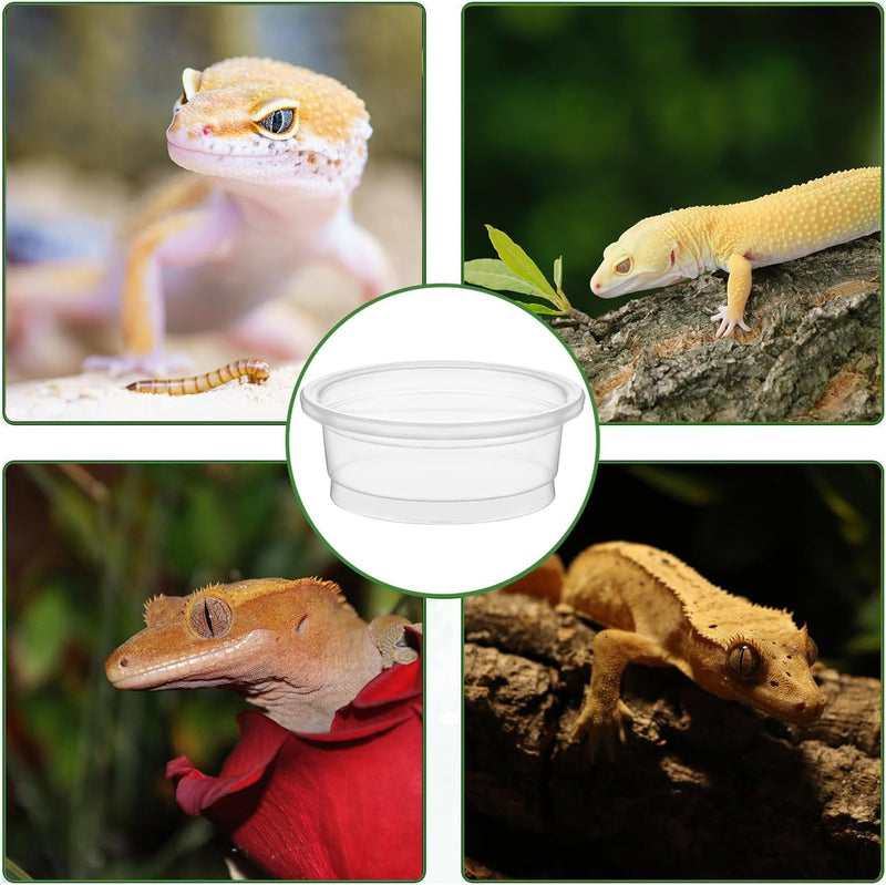 100 Pcs Crested Gecko Food and Water Cups ZIYIZE 0.5Oz Reptile Feeder Bowls Gecko Food Cups Crested Gecko Accessories Replacement Food Dish for Crested Lizards Tarantula and Other Small Pets