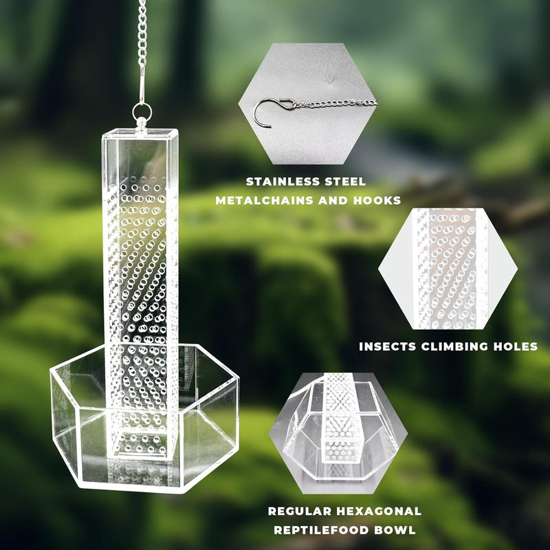 Chameleon Feeding Bowl, Hanging Transparent Acrylic Bearded Dragon Feeder with Column for Insects to Climb, Reptile Tank Aquarium Accessories for Lizard Lguana Gecko Toad Frog