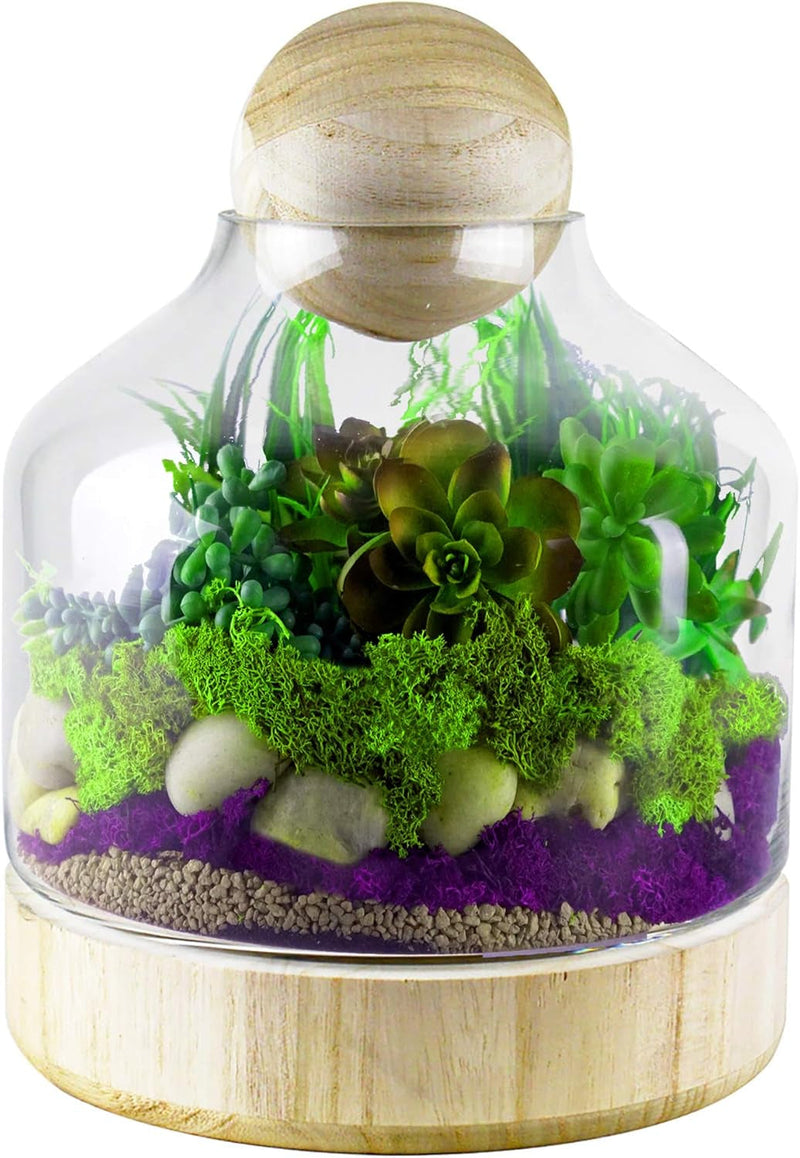 CYS EXCEL Glass Terrarium Container (H:10" W:7") | Multiple Size Choices Planter Jars with Wood Base & Lid | Plant Terrarium Bowl Vase