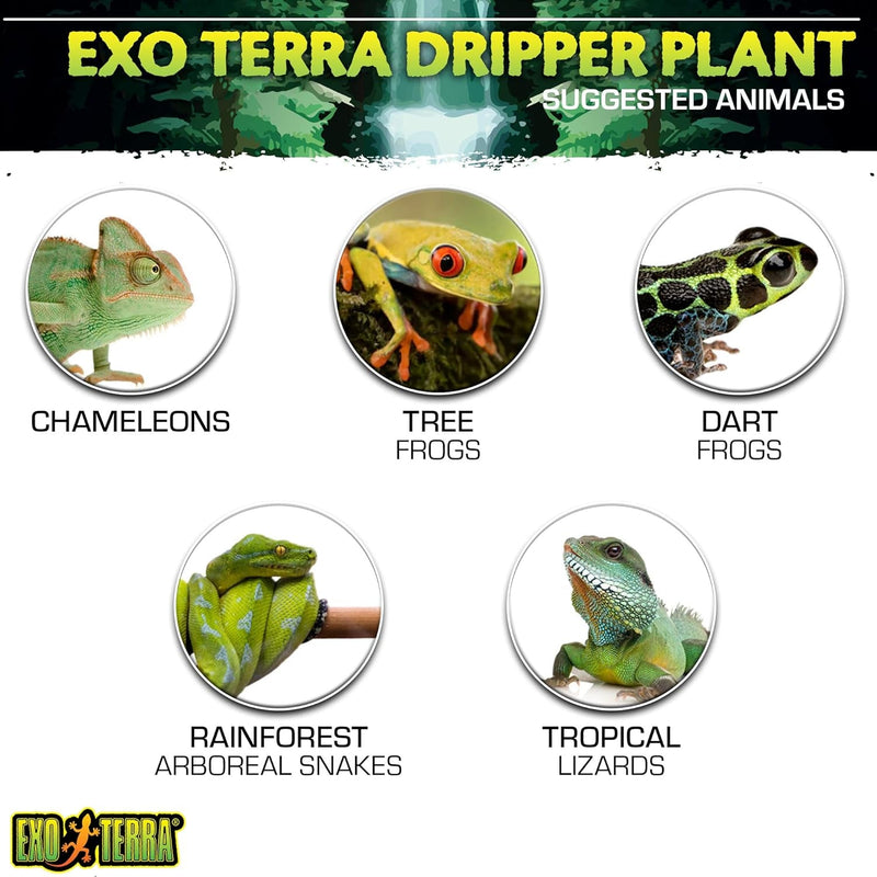 Exo Terra Dripper Plant, Large