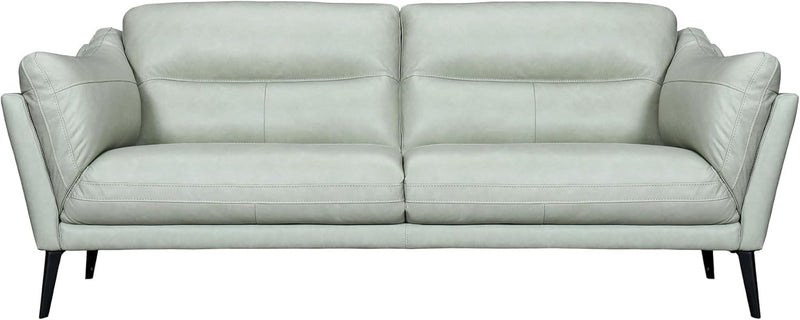 Armen Living Franz Modern Leather Sofa, 87", Mint