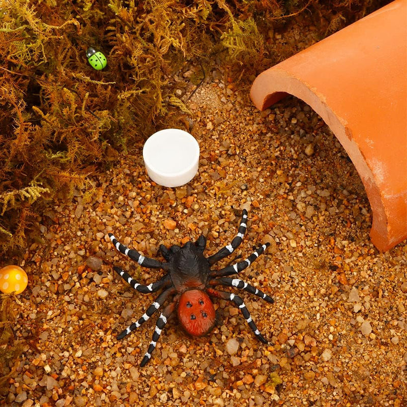 8 Pcs Spider Micro Ceramic Water Bowl Tarantula Mini Dish for Tarantula Spider Scorpion Cricket Snail Manti Millipede Tiny Bugs (White)