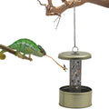 Chameleon Feeding Bowl,Hookable Lizard Feeder with Metal Mesh Column for Prey to Climb and Move,Suitable for Lizard, Iguana, Gecko,Bearded Dragon