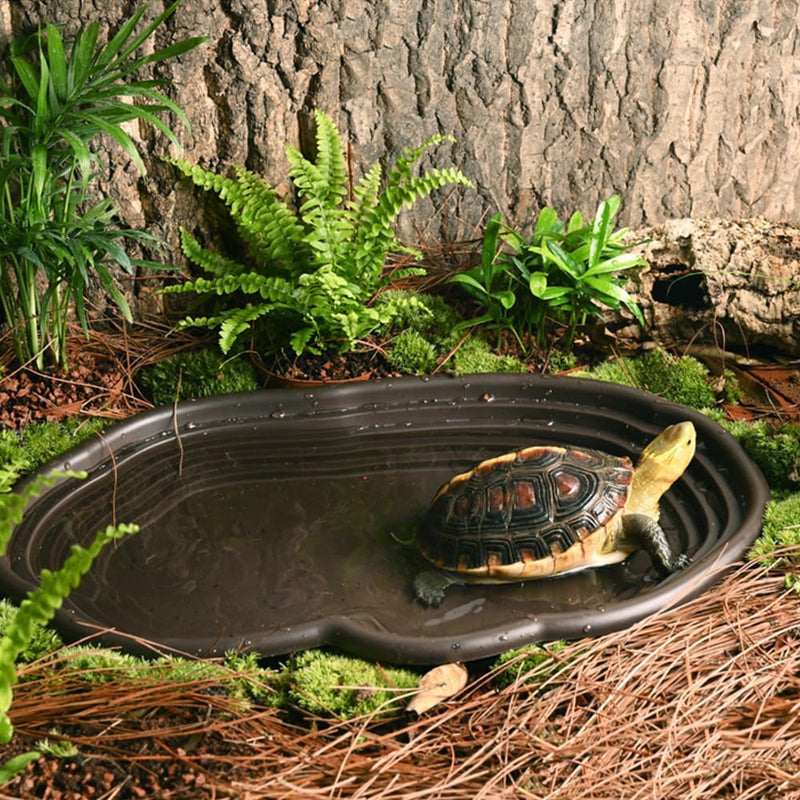 Flushbay Extra Large Reptile Bathing Pool Reptile Feeding Dish Water Bowl with Ramp Aquarium Ornament for Gecko, Snake, Turtle, Bearded Dragon, Lizard Bath(Black)