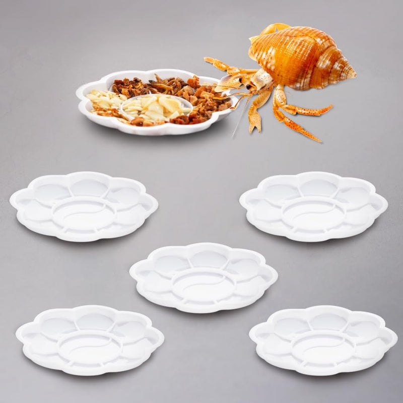 6 Pcs Hermit Crab Food Bowl 10 Compartments Small Water Dish for Hermit Crab Tarantula Snail (White)