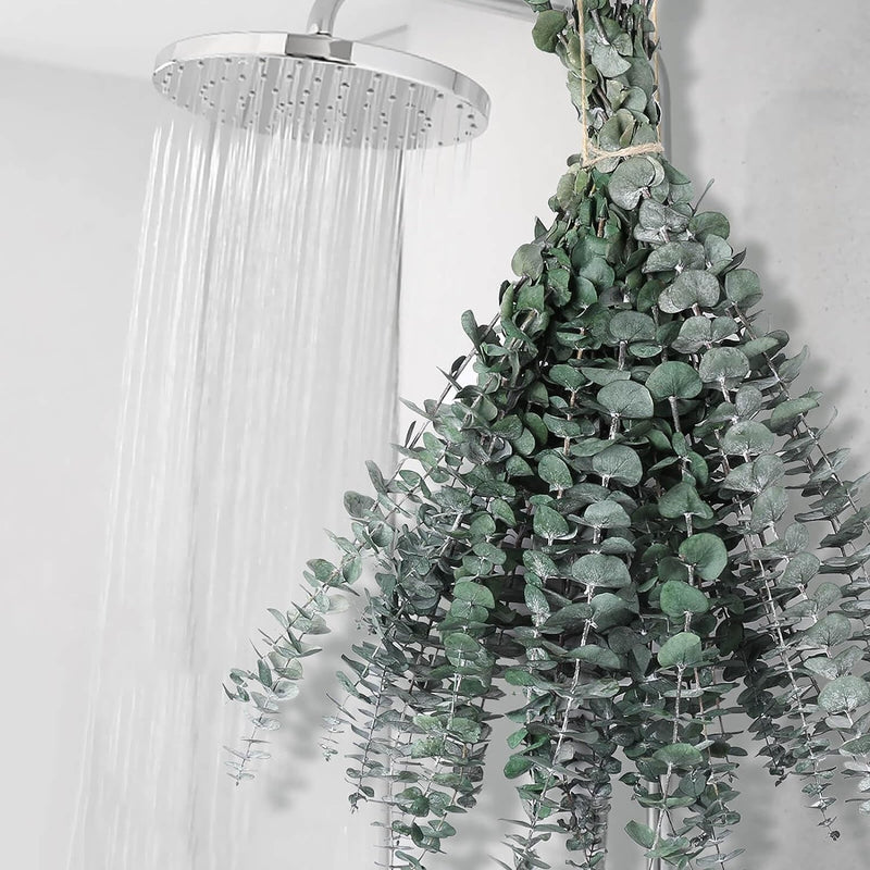 Lot de 12 tiges d'eucalyptus séchées pour douche - Grandes tiges d'eucalyptus préservées de 43,2 cm, feuilles d'eucalyptus fraîches et réelles pour suspendre la douche, arrangement de fleurs artificielles, décoration de salle de bain pour la maison