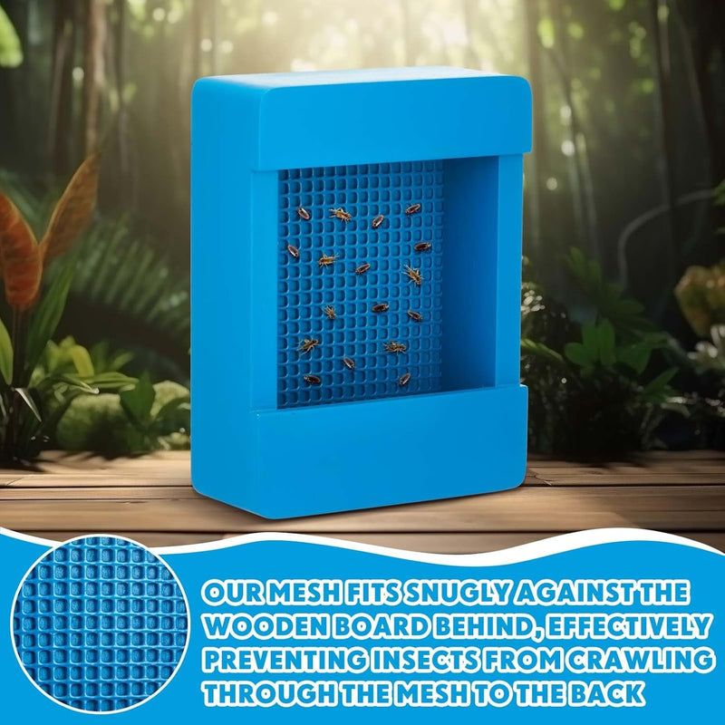 Chameleon Feeder Bearded Dragon Bug Bowl Wooden Bearded Dragon Feeder Insect Reptile Feeder Box with Grid Plate for Feeding Chameleon Gecko Lizard Frog Aquarium Accessories, Blue