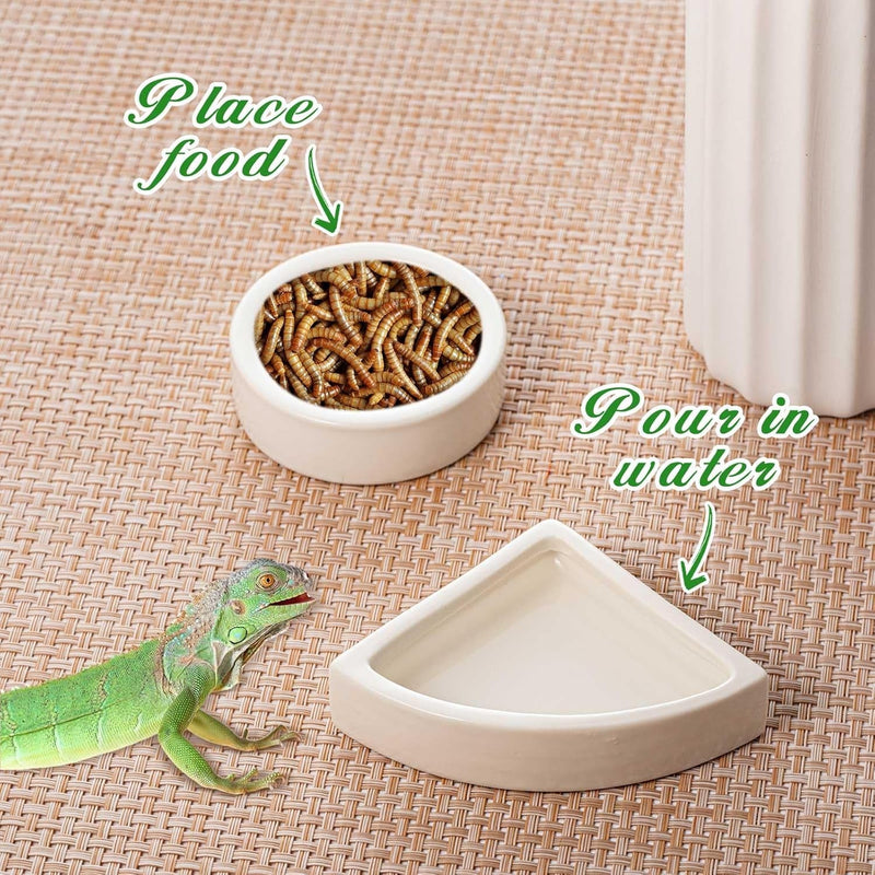 2 Pcs Reptile Feeding Tongs Stainless Steel Long Handle Tweezers Straight and Bent Rubber Tipped Tweezers with 2 Pcs Reptile Food Dish Bowl Terrarium Feeder Tools for Gecko Snake (10'', 10.5'')