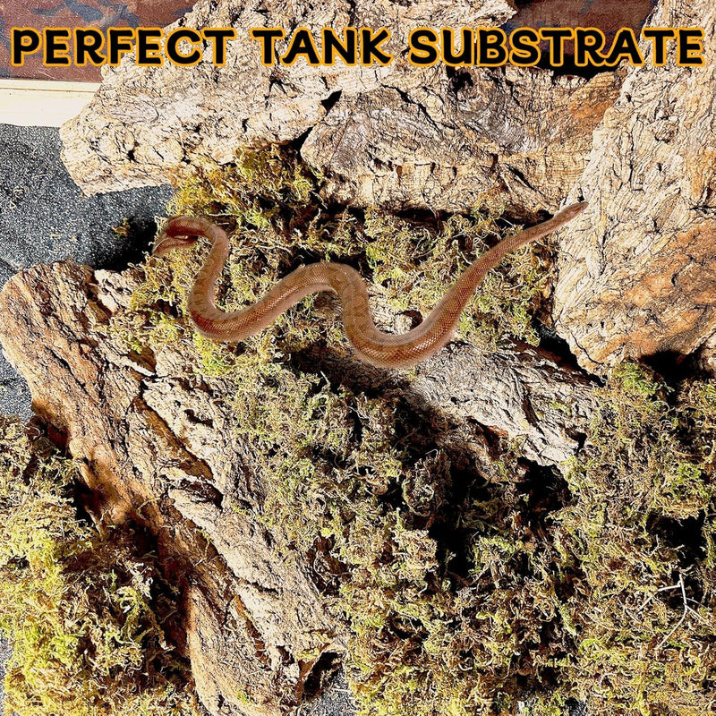 BNOSDM Reptile Terrarium Bark Substrate Bedding Tortoise Natural Cork Bark Reptile Climbing Mat Habitat Decor for Lizard Snake Spiders Hermit Crabs Tarantula Geckos Bearded Dragons (0.7 LB)