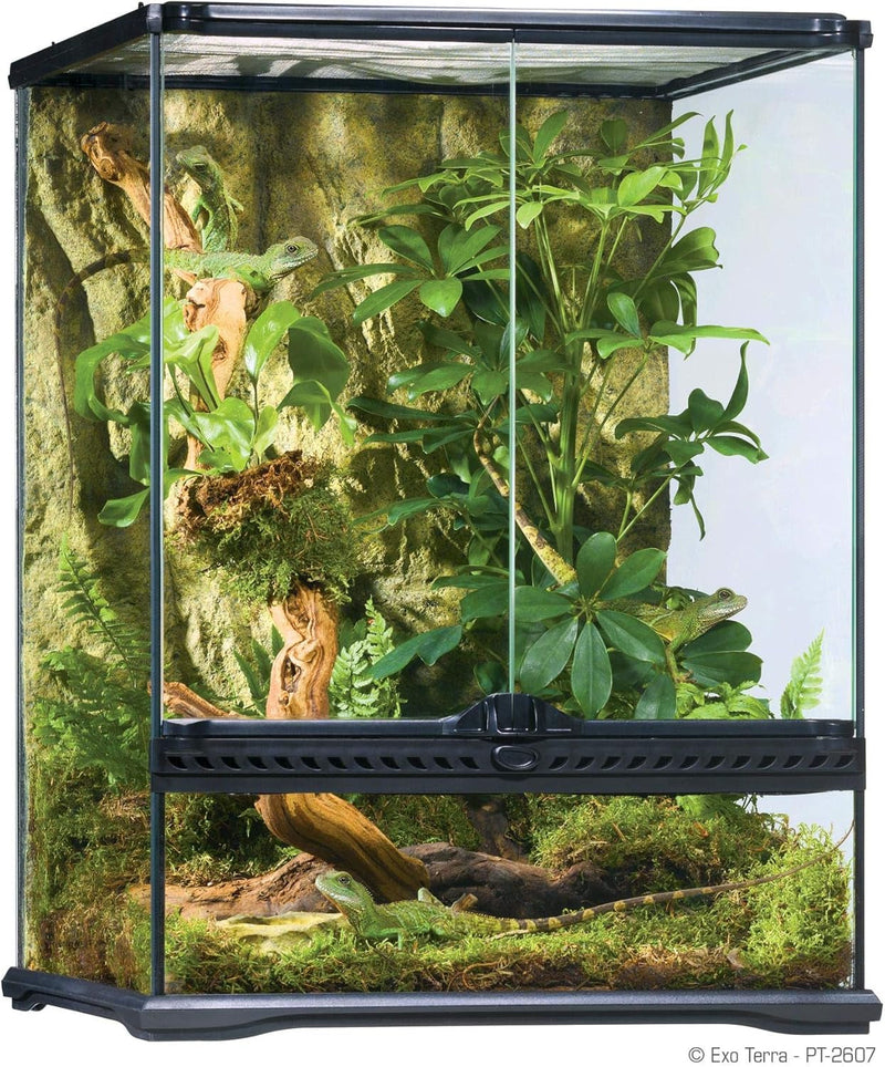 Exo Terra Glass Natural Terrarium Kit, for Reptiles and Amphibians, Small Wide, 18 X 18 X 18 Inches, PT2605A1