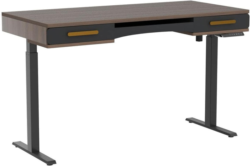 BANTI 55" X 26" Electric Standing Desk, Mid-Century Modern Desk with 3 Drawers, Stand up Home Office Desks, Vintage Top