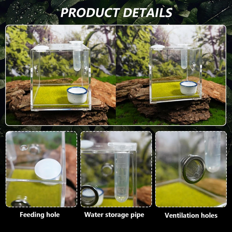 GKPONSX Acrylic Jumping Spider Enclosure, Spider Terrarium Accessories with Bowls Tongs Dropper for Snail Tarantula Scorpion Praying Mantis Isopods Insects