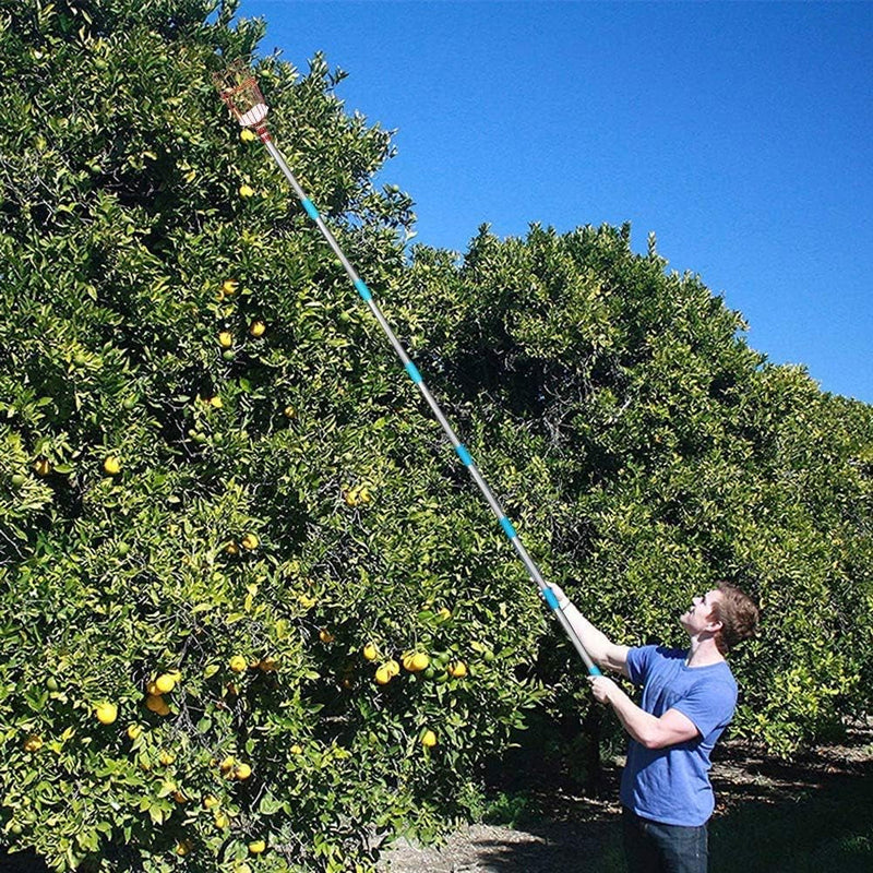 COCONUT Fruit Picker Tool, Fruit Picker with Basket and Pole Easy to Assemble & Use Fruits Catcher Tree Picker for Getting Fruits(5Ft)