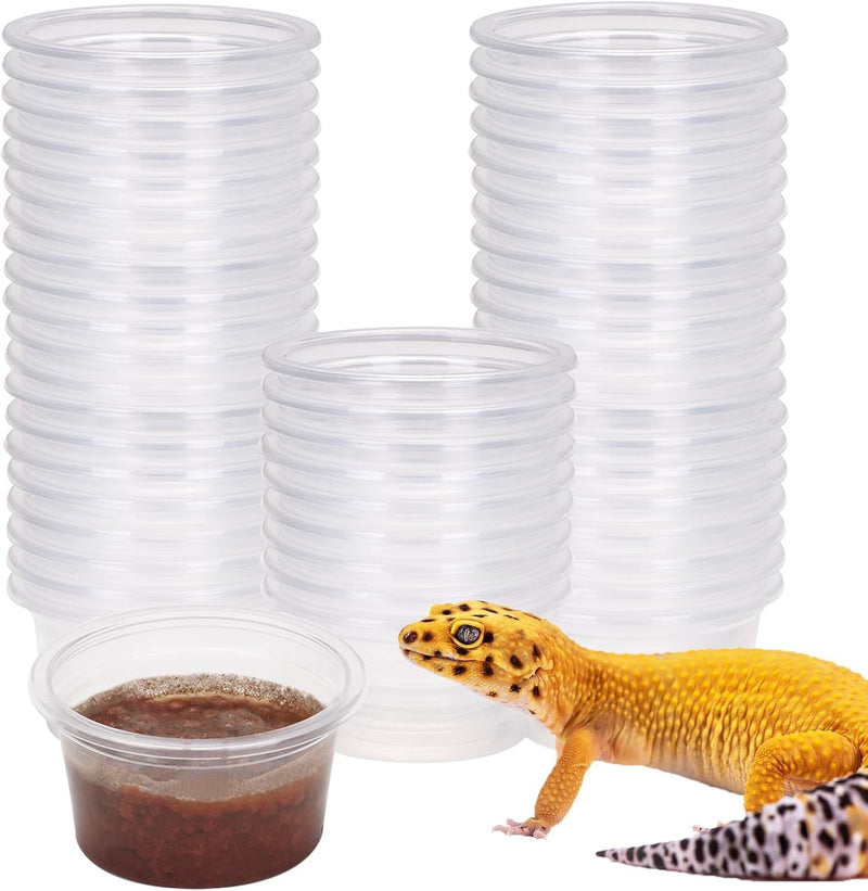 Gecko Feeder Ledge with 6 Pack Plastic Bowls Strong Magnetic Reptile Food Feeder Water Dish