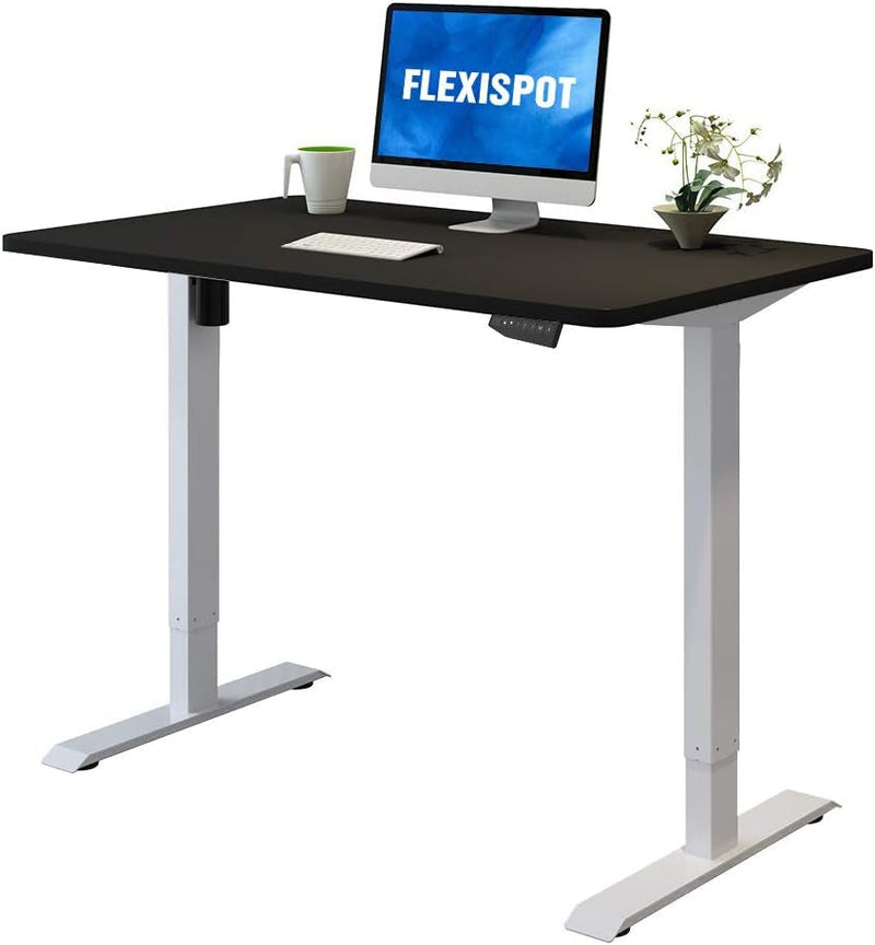 FLEXISPOT Standing Desk 48 X 24 Inches Adjustable Desk Memory Controller Electric Sit Stand Desk Home Office Desk (Gray Frame + Black Top)