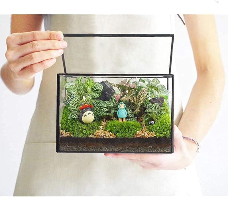 Geometric Plants Terrarium Glass Irregular Terrarium Planter Tabletop Black Opened Container Pot for Cacti Succulents Glass Planter Terrarium for Home, Garden, Office,6.5X5.7X9.8'' No Door