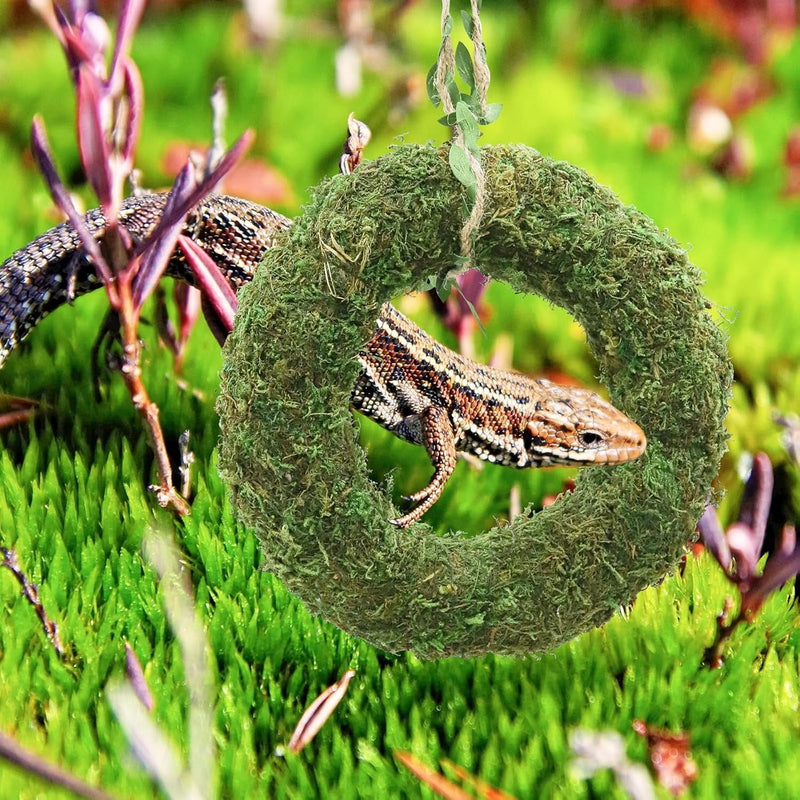 Bearded Dragon Swing Toy, Hanging Artificial Greenery Reptile Ring Hammock, Tank Aquarium Decoration Accessories, Suitable for Lizard Chameleon Bearded Dragon - 7.5 Inch in Diameter