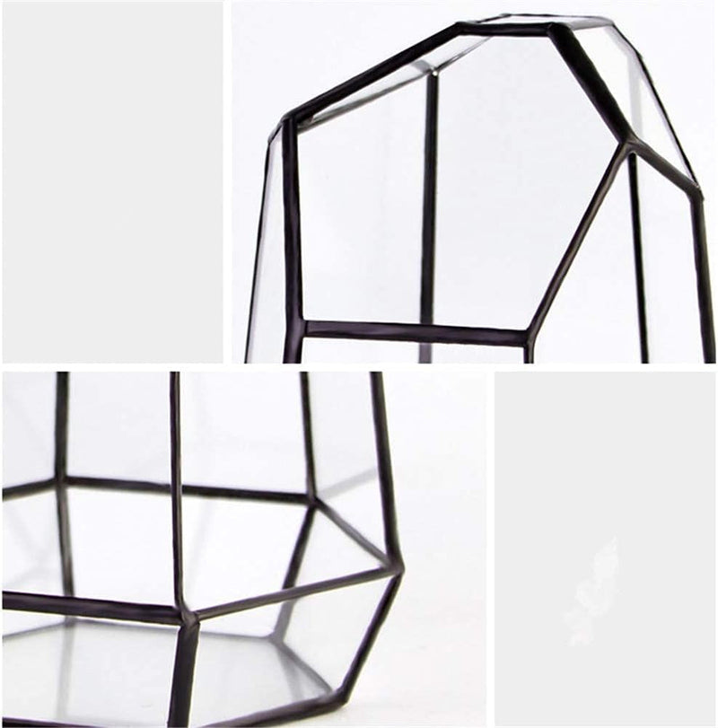 Geometric Plants Terrarium Glass Irregular Terrarium Planter Tabletop Black Opened Container Pot for Cacti Succulents Glass Planter Terrarium for Home, Garden, Office,6.5X5.7X9.8'' No Door