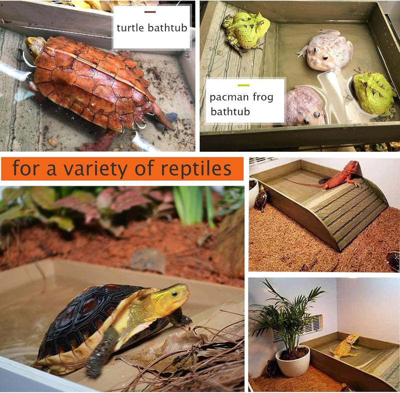 3Pcs Tortoise Food Dish with Ramp and Basking Platform Leaf Tortoise Water Food Bowls Reptile Water Dish Turtle Reptile Pool for Amphibians Brown