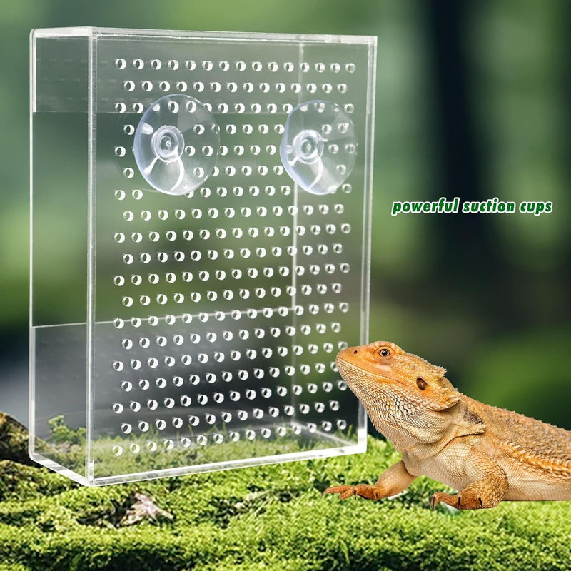 Bearded Dragon Feeder, Chameleon Bug Bowl, Transparentk Acrylic Reptile Feeder Box, Wall-Mounted Insect Feeder with Suction Cups, Tank and Aquarium Accessories for Lizard Bearded Dragon Gecko Frog