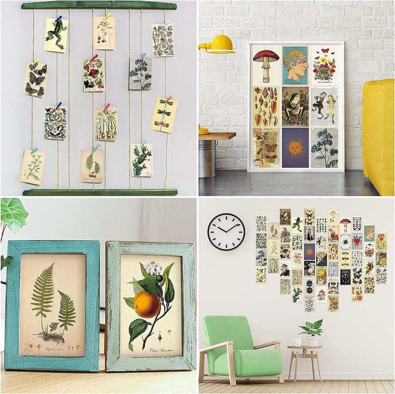 8TEHEVIN 50PCS Botanical Illustration Tarot Aesthetic Pictures Wall Collage Kit, Trendy Small Poster for Dorm, Vintage Style Art Print Photo Collection, Bedroom Decor for Teens Boys Girls Home & Garden > Decor > Artwork > Posters, Prints, & Visual Artwork 8TEHEVIN   