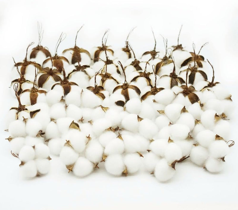 50 Pcs White Cotton Bolls Balls Decor, Dried Cotton Balls for Wreath Decorative, Home, Wedding Decor Balls (50Pcs)