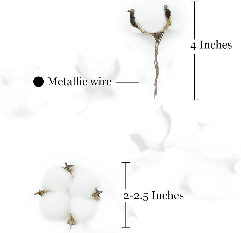 50 Pcs White Cotton Bolls Balls Decor, Dried Cotton Balls for Wreath Decorative, Home, Wedding Decor Balls (50Pcs)