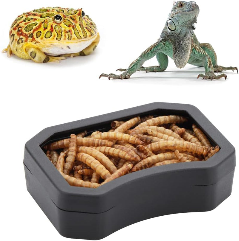 10 Pack Reptile Water Food Bowl, Plastic Terrarium Worm Dish Anti- Escape Feeder for Small Reptile Gecko Lizard Turtle (Black and White)