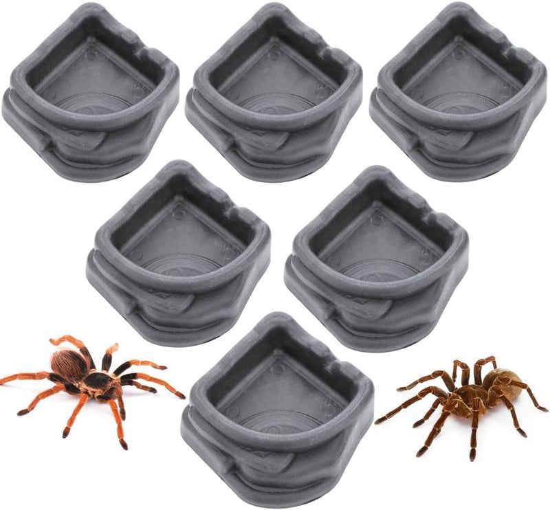 6 Pcs Spider Micro Water Bowl, Small Resin Dish for Tarantula Hermit Crab Spider Millipede Tiny Reptile (Medium: 1.65" D, 0.59" H)