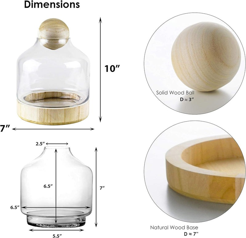 CYS EXCEL Glass Terrarium Container (H:10" W:7") | Multiple Size Choices Planter Jars with Wood Base & Lid | Plant Terrarium Bowl Vase