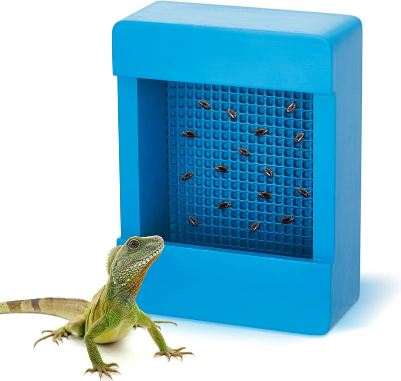 Chameleon Feeder Bearded Dragon Bug Bowl Wooden Bearded Dragon Feeder Insect Reptile Feeder Box with Grid Plate for Feeding Chameleon Gecko Lizard Frog Aquarium Accessories, Blue