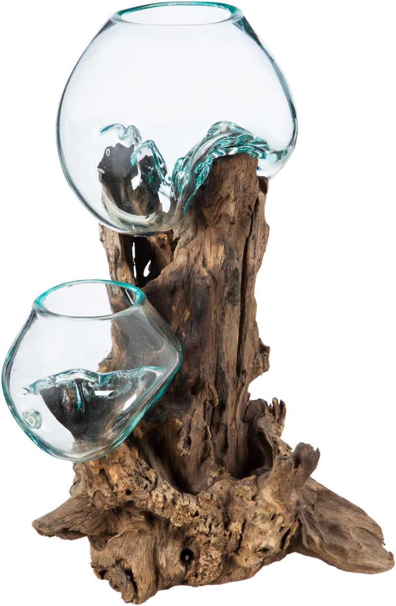 Cape Craftsmen 7-Inches Tall Hand-Blown Blue Tinted Bubble Glass on Natural Teak Driftwood Terrarium | Home Décor Indoor Planter with Stand | Pot for Succulent and Plants