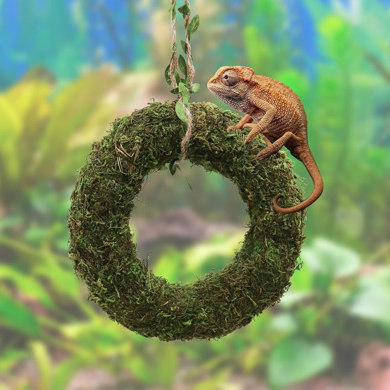 Bearded Dragon Swing Toy, Hanging Artificial Greenery Reptile Ring Hammock, Tank Aquarium Decoration Accessories, Suitable for Lizard Chameleon Bearded Dragon - 7.5 Inch in Diameter