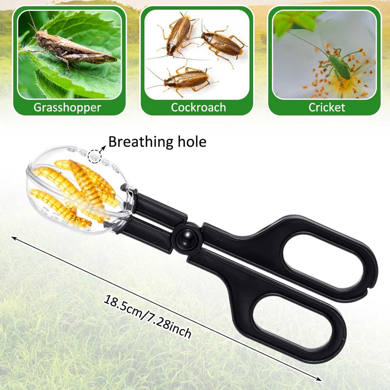 4 Pcs Bearded Dragon Food Bowl Set Reptile Snake Feeding Accessories Stainless Steel Reptile Feeding Tongs with Rubber Reptile Feeding Clamp for Bearded Dragon Lizard