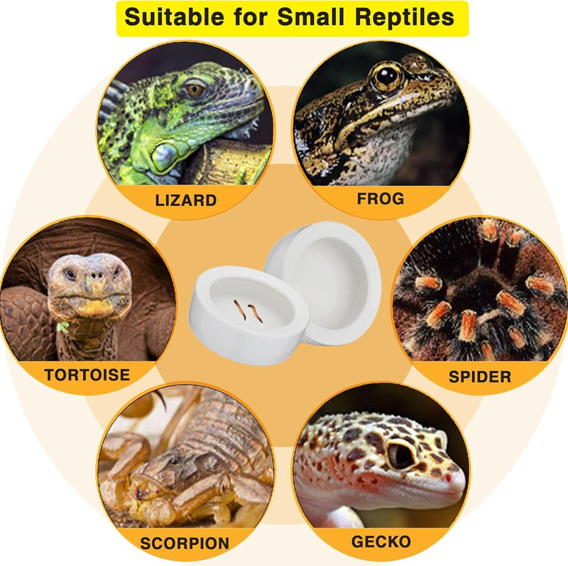 2Pcs Mini Reptile Food Dish Bowls Worm Water Dish Feeder Lizard Gecko Ceramic Pet Bowls with Tongs for Tortoise Lizard Bearded Dragon Frog Leopard Gecko Snake Chameleon(Small, 1.93Inch)