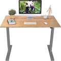 FLEXISPOT Adjustable Desk, Electric Standing Desk Sit Stand Desk, 48 X 24 Whole-Piece Bamboo Desk Top Home Office Table Stand up Desk(Ec1 Classic Black Frame+Rectangular Top 2 Packages)