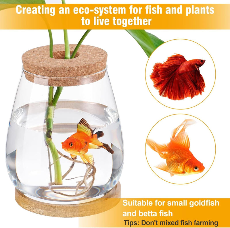 Betta Fish Tank - Mini Bowls for Beta Fish, Aquaponic Fish Tank Clear Hydroponic Plant Terrarium for Promoted Ecosphere Aquatic Ecosystem - 4.3" X 6" Drop-Shaped