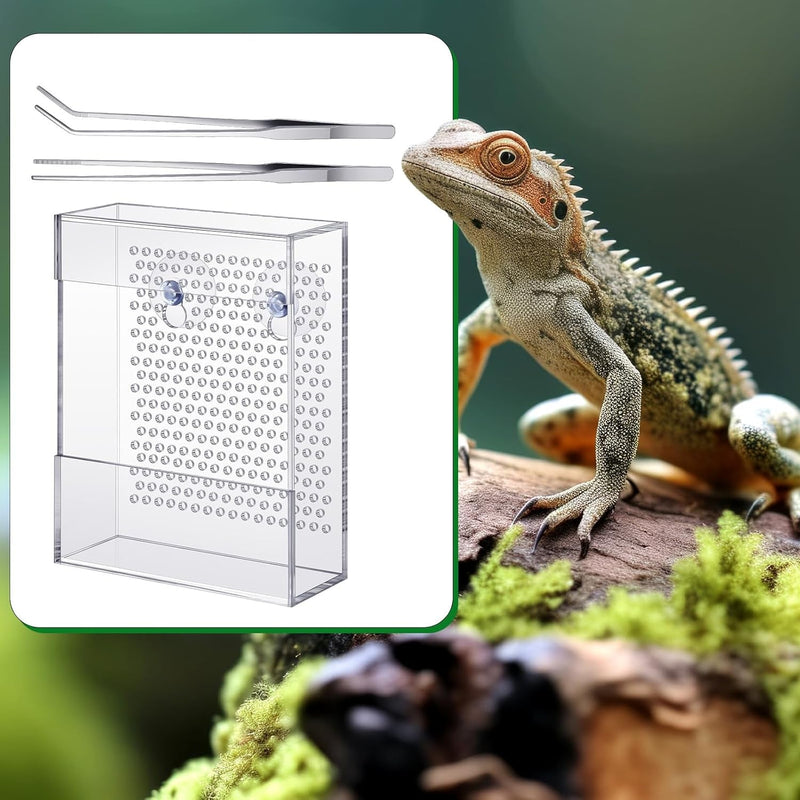 Geyoga Bearded Dragon Feeder with 2 Aquarium Tweezers Transparent Acrylic Reptile Feeder Box Chameleon Bug Bowl Wall Mounted Insect Feeder with Suction Cups for Bearded Dragon Lizard