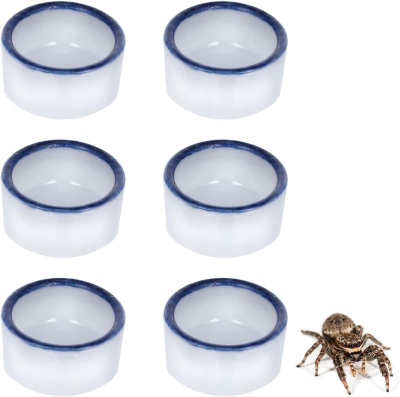 6 Pcs Spider Mini Water Bowl Tarantula Micro Ceramic Water Dish for Spider Tarantula Millipede Tiny Reptile Scorpion Cricket Snail Manti Bugs