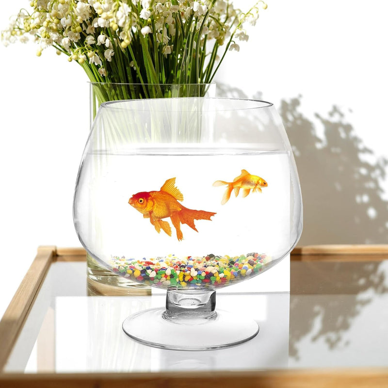 GANAZONO Clear Bubble Bowl Glass Fish Bowl Terrarium Globe Flower Vase Hydroponic Vase Goblet Beer Glass Centerpiece for Home Office Wedding Party Tabletop Decor 6.68Inches