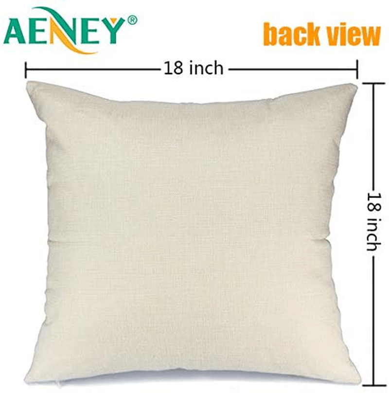 AENEY Halloween Pillow Cover 18x18 for Farmhouse Fall Decor Fall Throw Pillow Cover Autumn Decorative Cushion Case for Sofa Couch Fall Decorations 1001bz18