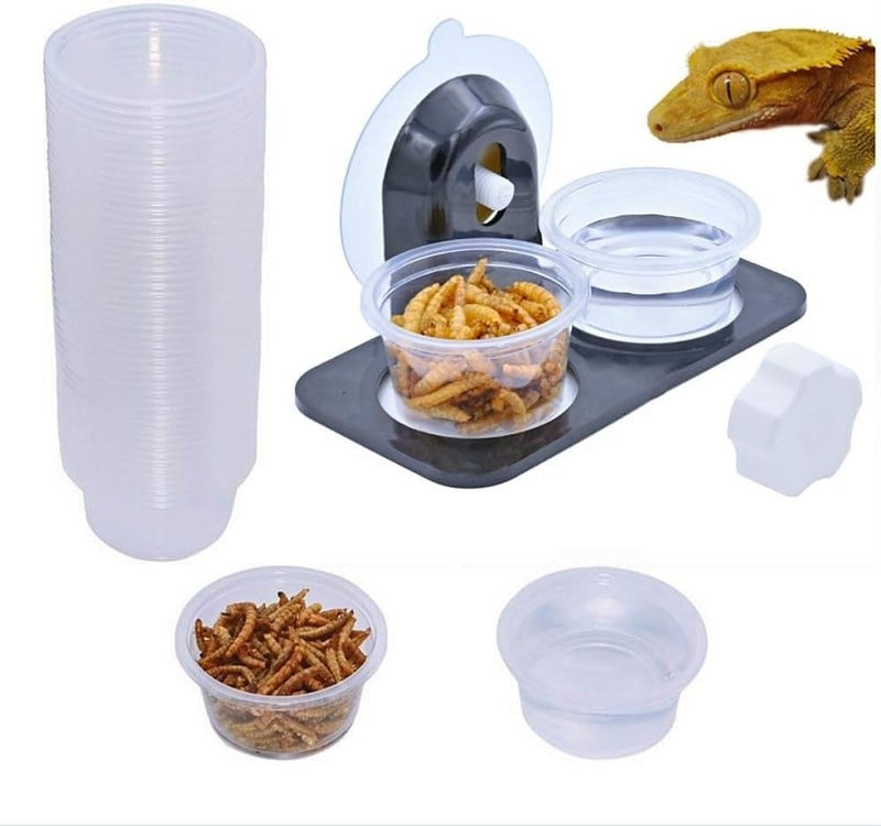 100Pcs 1Oz Crested Gecko Food and Water Feeding Cups, Reptile Feeder Bowls, for Lizard and Other Small Pet Ledge Accessories Supplies