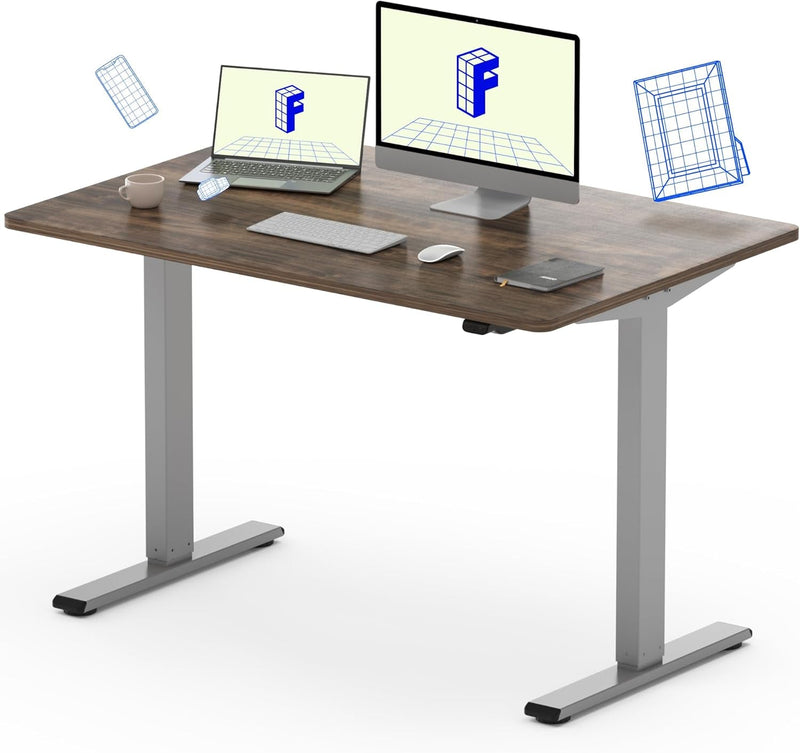 FLEXISPOT EC1 Essential Adjustable Desk, Electric Standing Desk Sit Stand Desk (48X24 Inch, Gray Frame+Marble Grey)