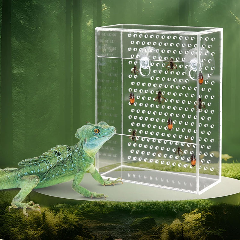 Bearded Dragon Feeder, Chameleon Bug Bowl, Transparentk Acrylic Reptile Feeder Box, Wall-Mounted Insect Feeder with Suction Cups, Tank and Aquarium Accessories for Lizard Bearded Dragon Gecko Frog