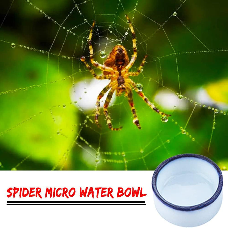 36 Pcs Spider Micro Water Bowl Mini Ceramic Dish for Tarantula Spider Millipede Tiny Reptile Insect (0.86" D, 0.43" H)