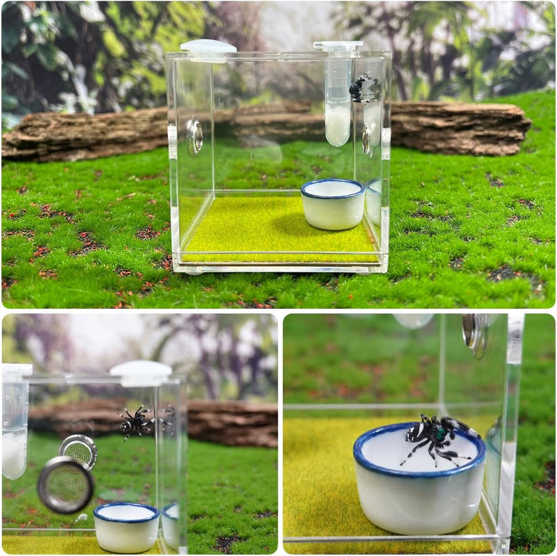 GKPONSX Acrylic Jumping Spider Enclosure, Spider Terrarium Accessories with Bowls Tongs Dropper for Snail Tarantula Scorpion Praying Mantis Isopods Insects