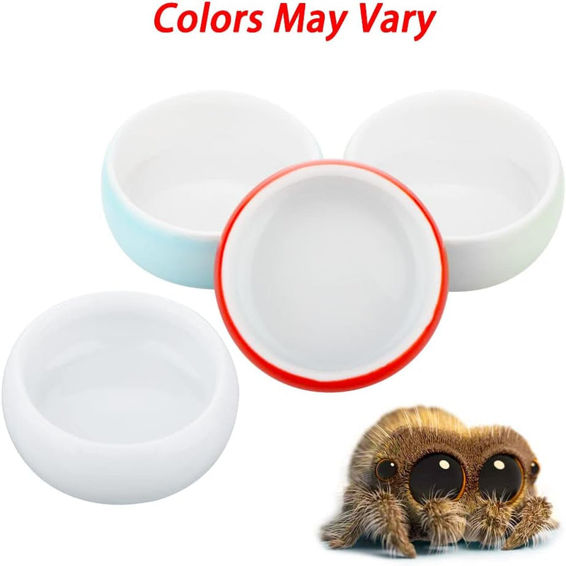 4 Pcs Hermit Crab Colorful Food Bowl Tarantula Water Bowl Spider Micro Ceramic Dish